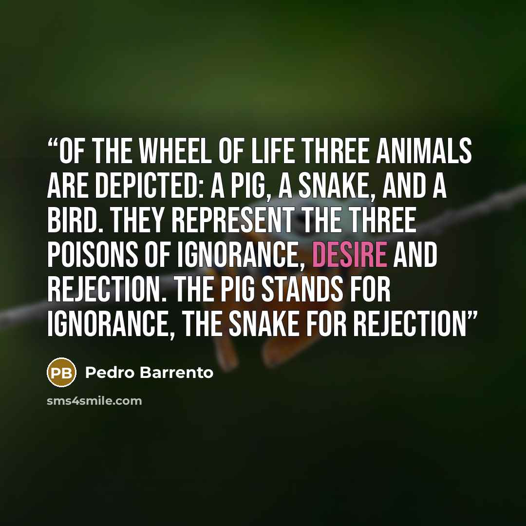 “of the Wheel of Life three animals are depicted: a pig, a snake, and a bird. They represent the three poisons of ignorance, desire and rejection. The pig stands for ignorance, the snake for rejection” quote by Pedro Barrento