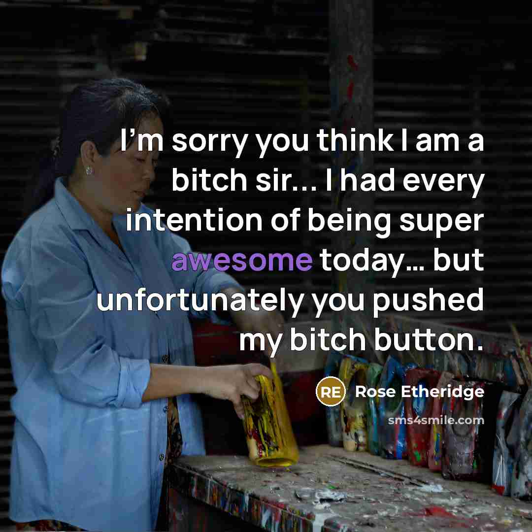 “I'm sorry you think I am a bitch sir... I had every intention of being super awesome today… but unfortunately you pushed my bitch button.” quote by Rose Etheridge
