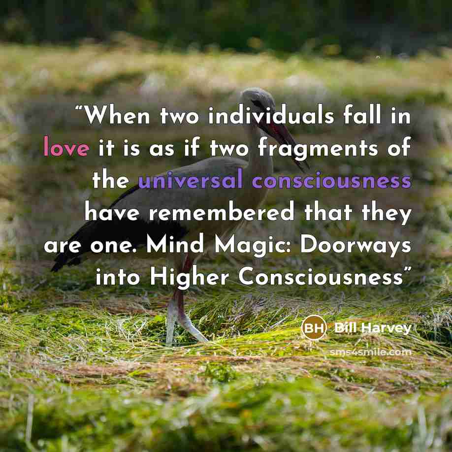 “When two individuals fall in love it is as if two fragments of the universal consciousness have remembered that they are one. Mind Magic: Doorways into Higher Consciousness” quote by Bill Harvey
