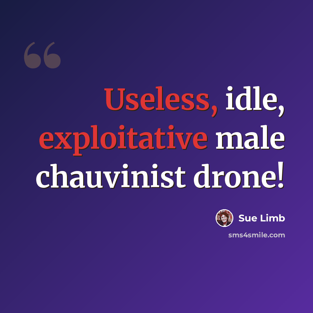 “Useless, idle, exploitative male chauvinist drone!” quote by Sue Limb