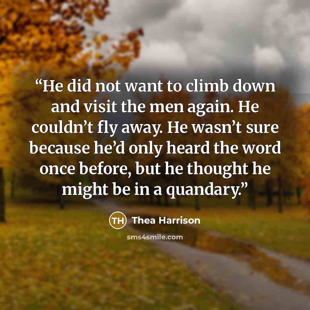 “He did not want to climb down and visit the men again. He couldn’t fly away. He wasn’t sure because he’d only heard the word once before, but he thought he might be in a quandary.” quote by Thea Harrison