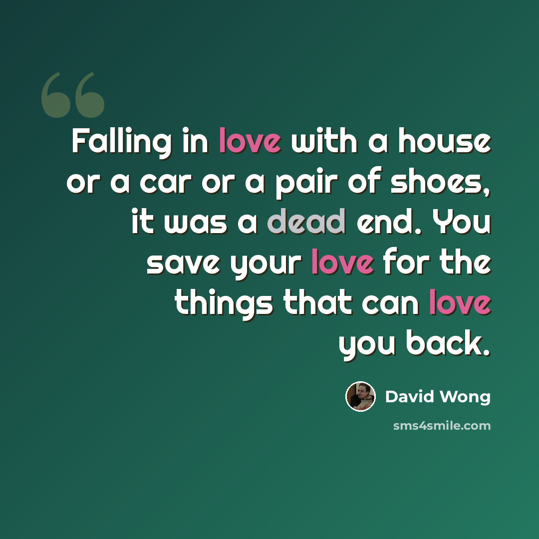 “Falling in love with a house or a car or a pair of shoes, it was a dead end. You save your love for the things that can love you back.” quote by David Wong