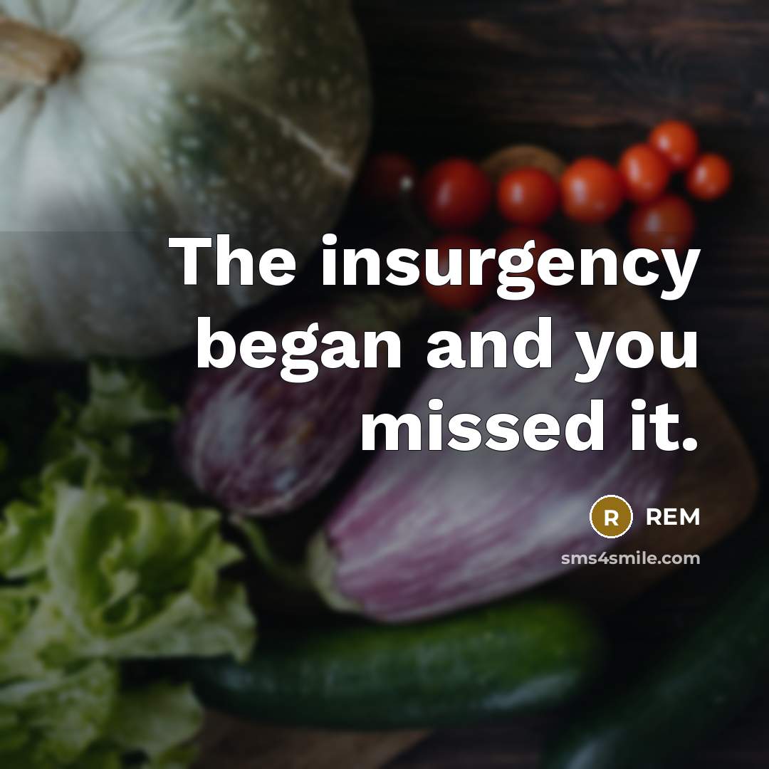 “The insurgency began and you missed it.” quote by REM