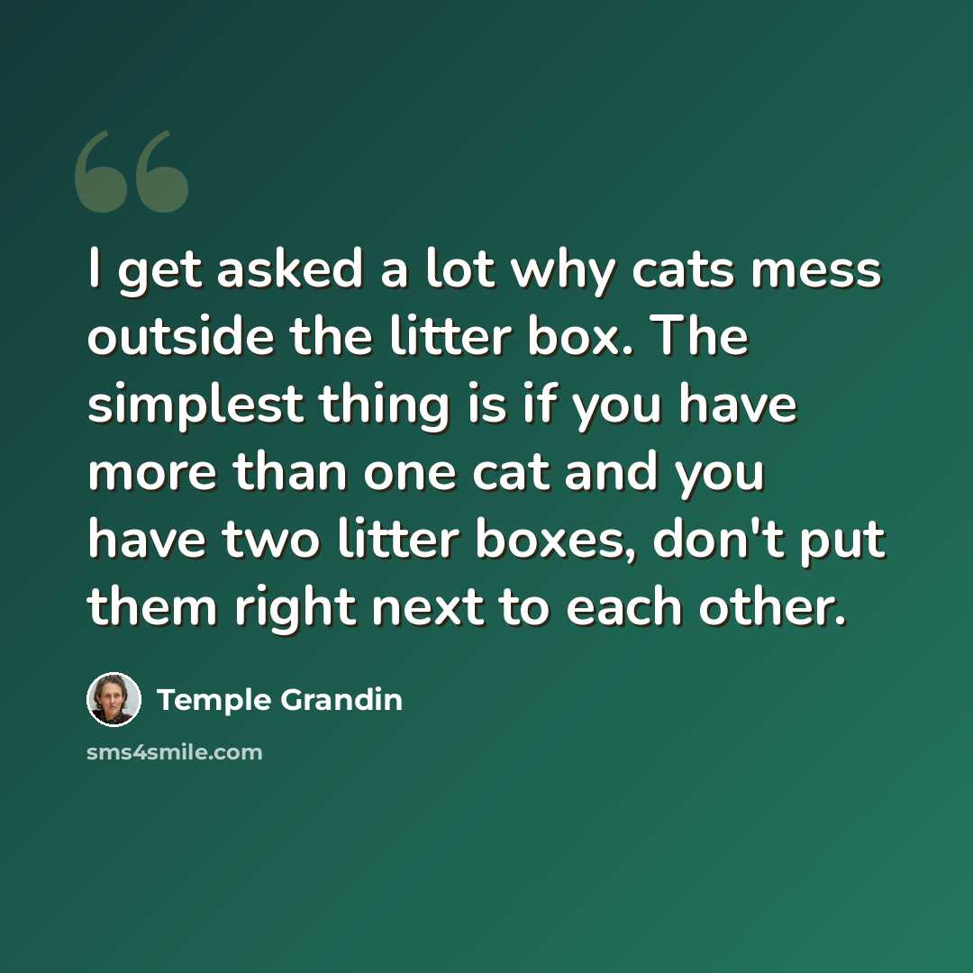 “I get asked a lot why cats mess outside the litter box. The simplest thing is if you have more than one cat and you have two litter boxes, don't put them right next to each other.” quote by Temple Grandin