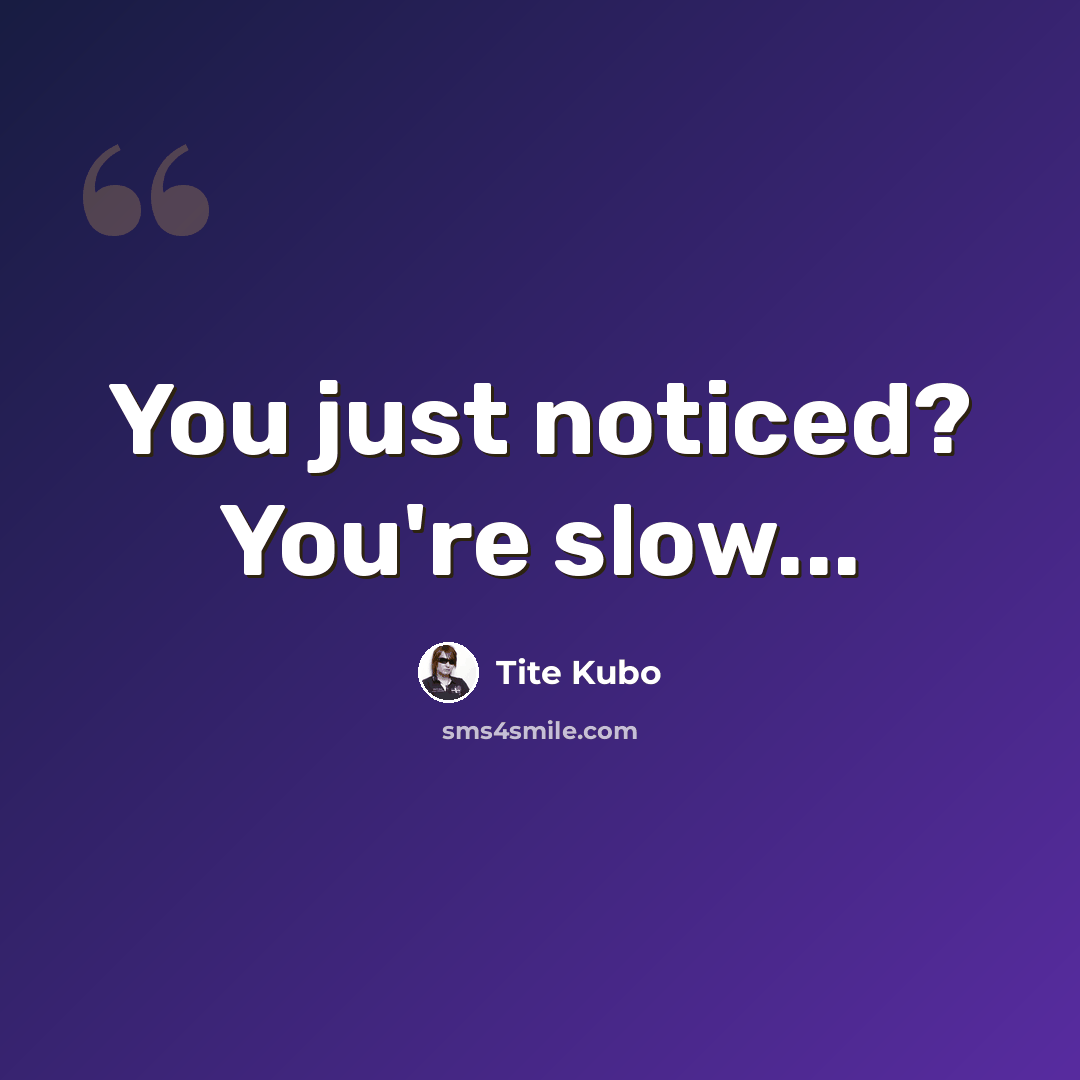 “You just noticed? You're slow...” quote by Tite Kubo