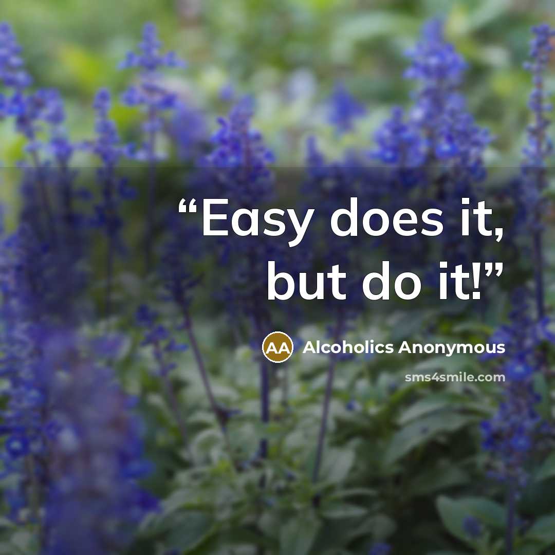 “Easy does it, but do it!” quote by Alcoholics Anonymous