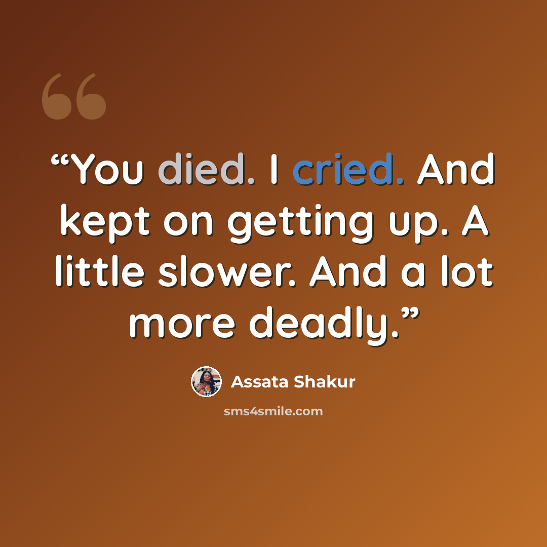 “You died. I cried. And kept on getting up. A little slower. And a lot more deadly.” quote by Assata Shakur
