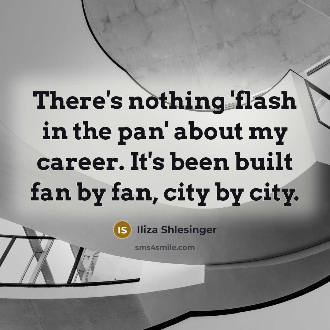 “There's nothing 'flash in the pan' about my career. It's been built fan by fan, city by city.” quote by Iliza Shlesinger