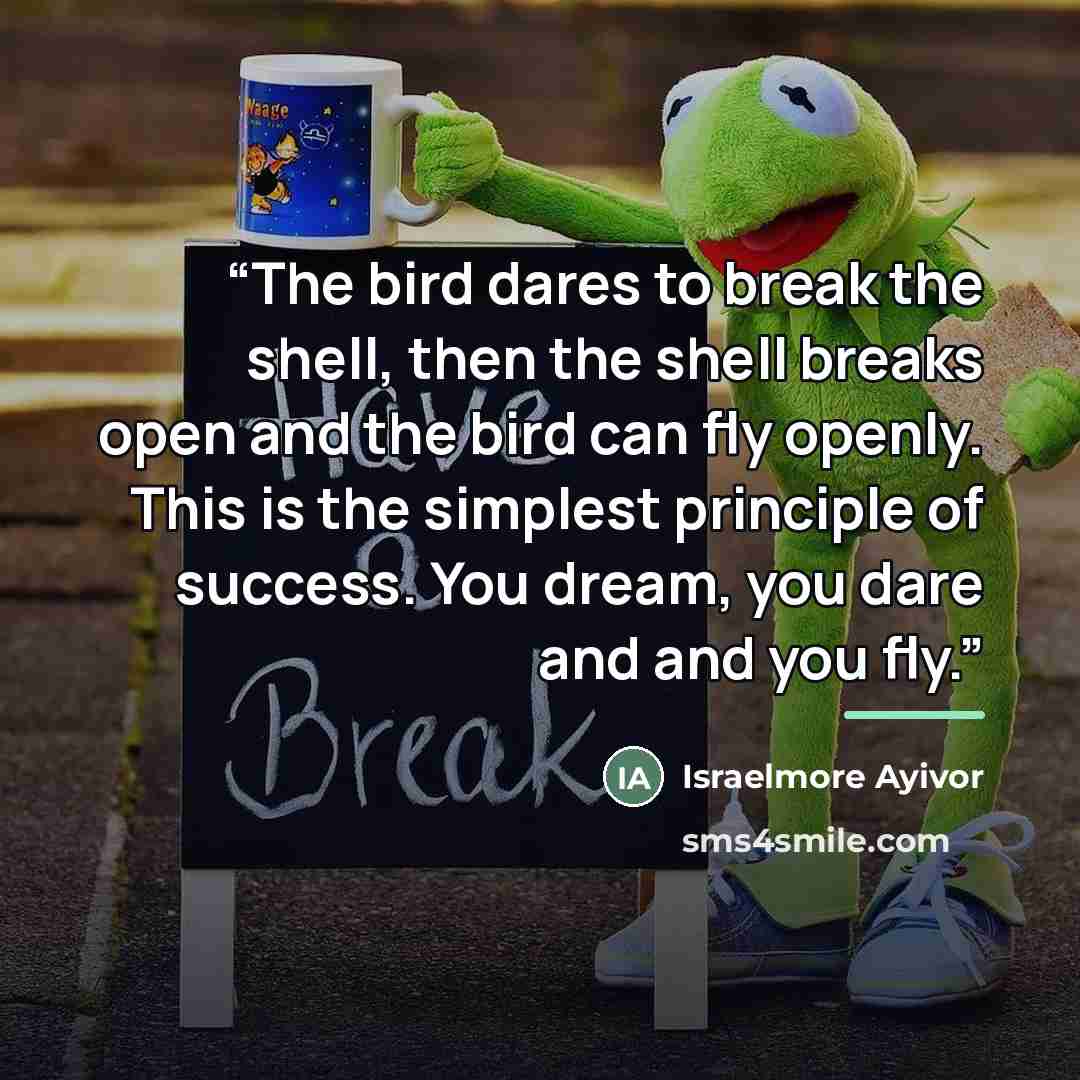 “The bird dares to break the shell, then the shell breaks open and the bird can fly openly. This is the simplest principle of success. You dream, you dare and and you fly.” quote by Israelmore Ayivor
