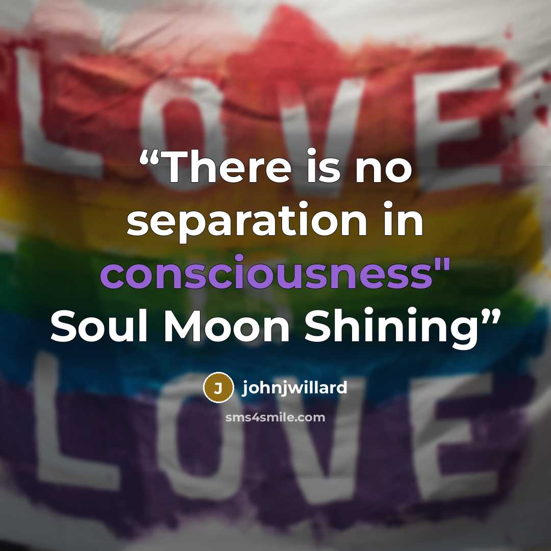 “There is no separation in consciousness" Soul Moon Shining” quote by johnjwillard