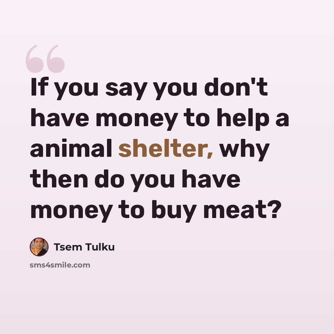 “If you say you don't have money to help a animal shelter, why then do you have money to buy meat?” quote by Tsem Tulku