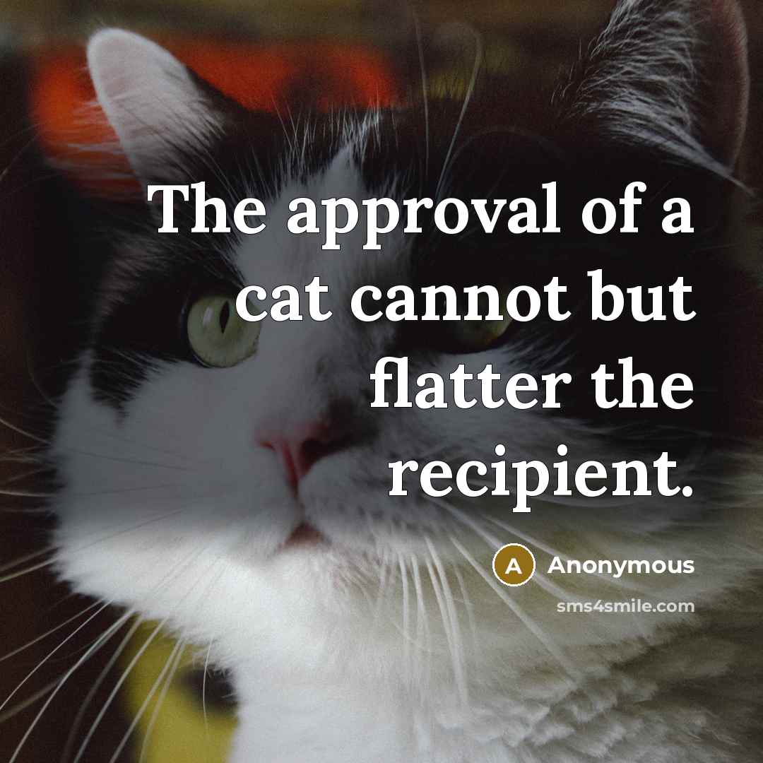 “The approval of a cat cannot but flatter the recipient.” quote by Anonymous
