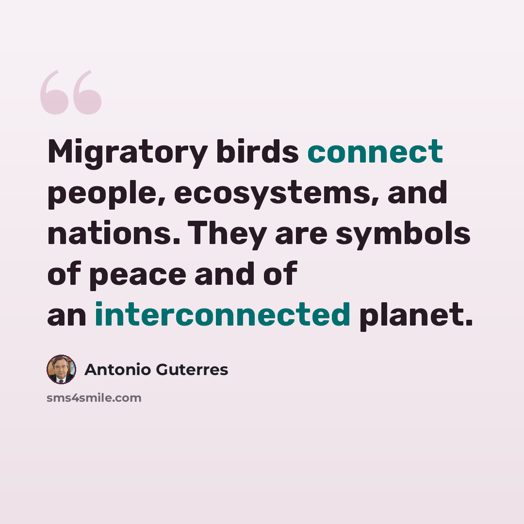 “Migratory birds connect people, ecosystems, and nations. They are symbols of peace and of an interconnected planet.” quote by Antonio Guterres