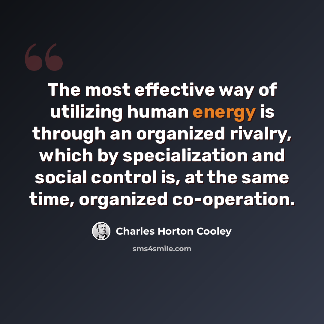 “The most effective way of utilizing human energy is through an organized rivalry, which by specialization and social control is, at the same time, organized co-operation.” quote by Charles Horton Cooley