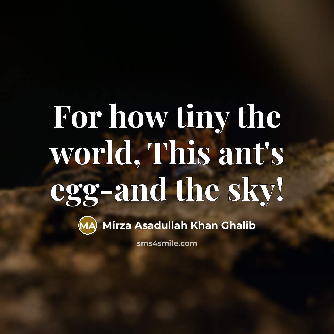 “For how tiny the world, This ant's egg-and the sky!” quote by Mirza Asadullah Khan Ghalib