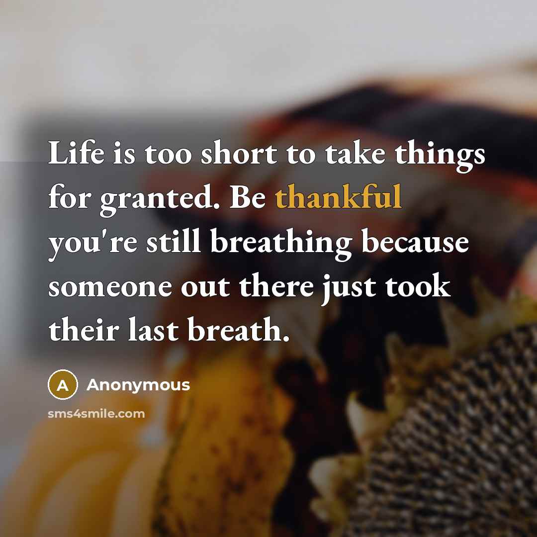 “Life is too short to take things for granted. Be thankful you're still breathing because someone out there just took their last breath.” quote by Anonymous