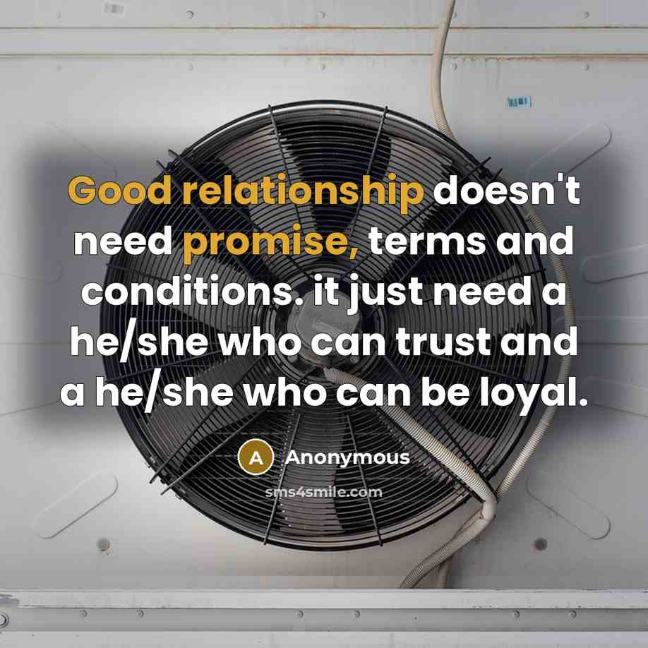 “Good relationship doesn't need promise, terms and conditions. it just need a he/she who can trust and a he/she who can be loyal.” quote by Anonymous