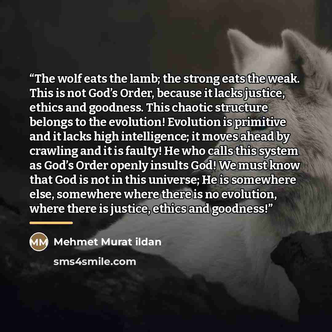 “The wolf eats the lamb; the strong eats the weak. This is not God’s Order, because it lacks justice, ethics and goodness. This chaotic structure belongs to the evolution! Evolution is primitive and it lacks high intelligence; it moves ahead by crawling and it is faulty! He who calls this system as…” quote by Mehmet Murat ildan