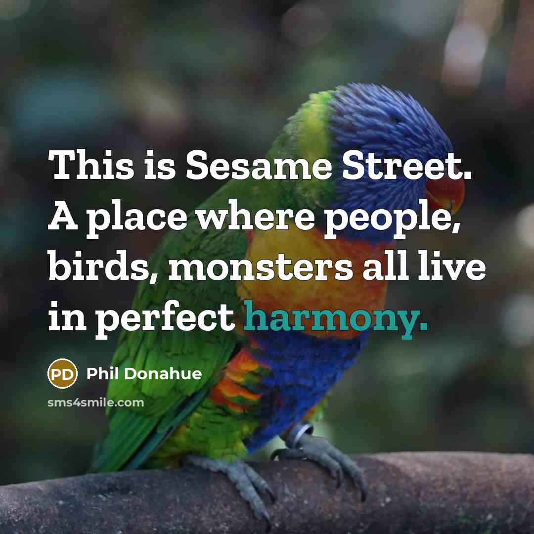 “This is Sesame Street. A place where people, birds, monsters all live in perfect harmony.” quote by Phil Donahue