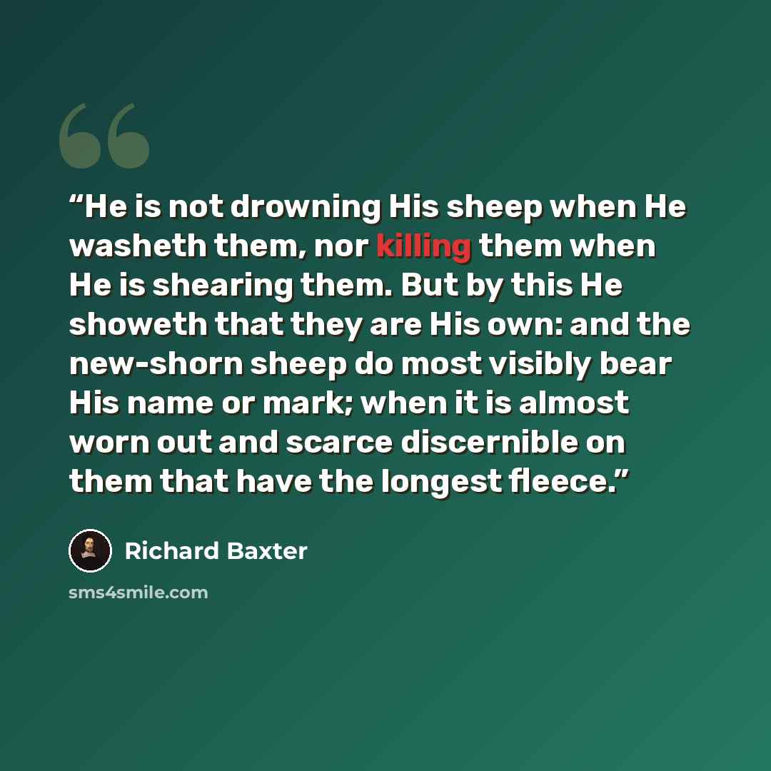 “He is not drowning His sheep when He washeth them, nor killing them when He is shearing them. But by this He showeth that they are His own: and the new-shorn sheep do most visibly bear His name or mark; when it is almost worn out and scarce discernible on them that have the longest fleece.” quote by Richard Baxter