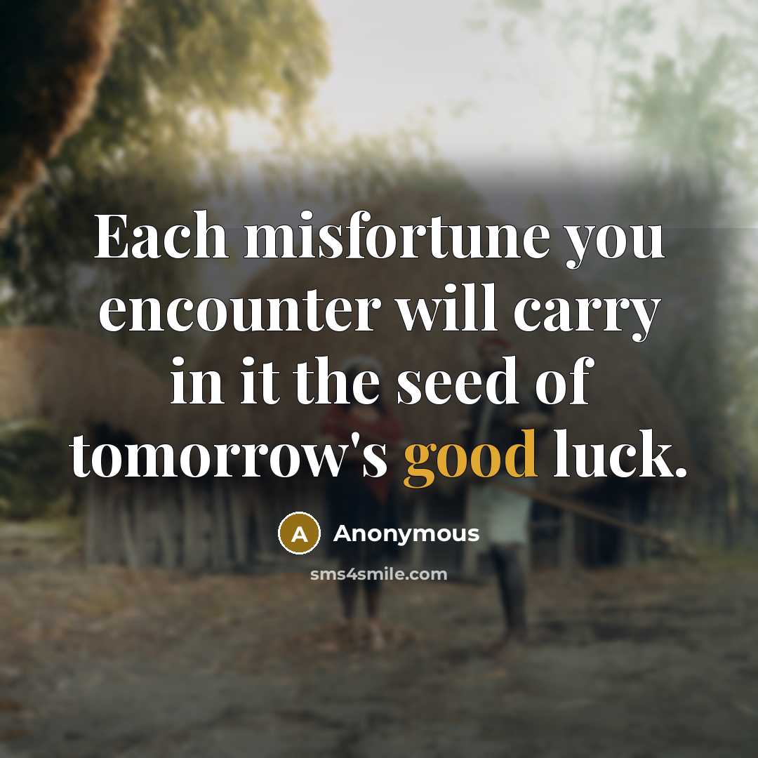 “Each misfortune you encounter will carry in it the seed of tomorrow's good luck.” quote by Anonymous