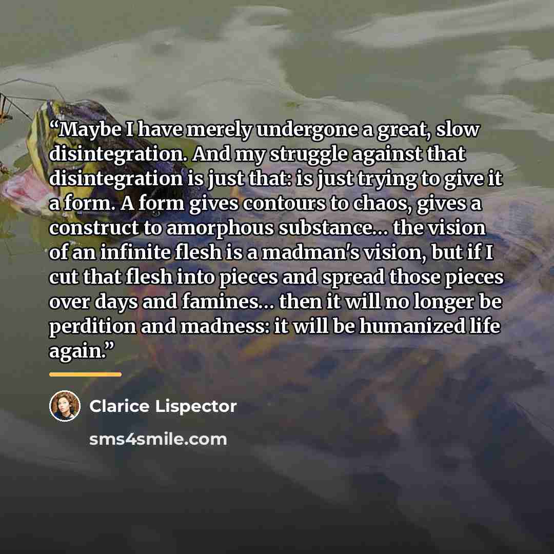 “Maybe I have merely undergone a great, slow disintegration. And my struggle against that disintegration is just that: is just trying to give it a form. A form gives contours to chaos, gives a construct to amorphous substance… the vision of an infinite flesh is a madman's vision, but if I cut that…” quote by Clarice Lispector