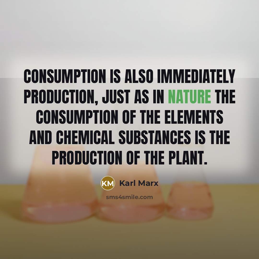 “Consumption is also immediately production, just as in nature the consumption of the elements and chemical substances is the production of the plant.” quote by Karl Marx