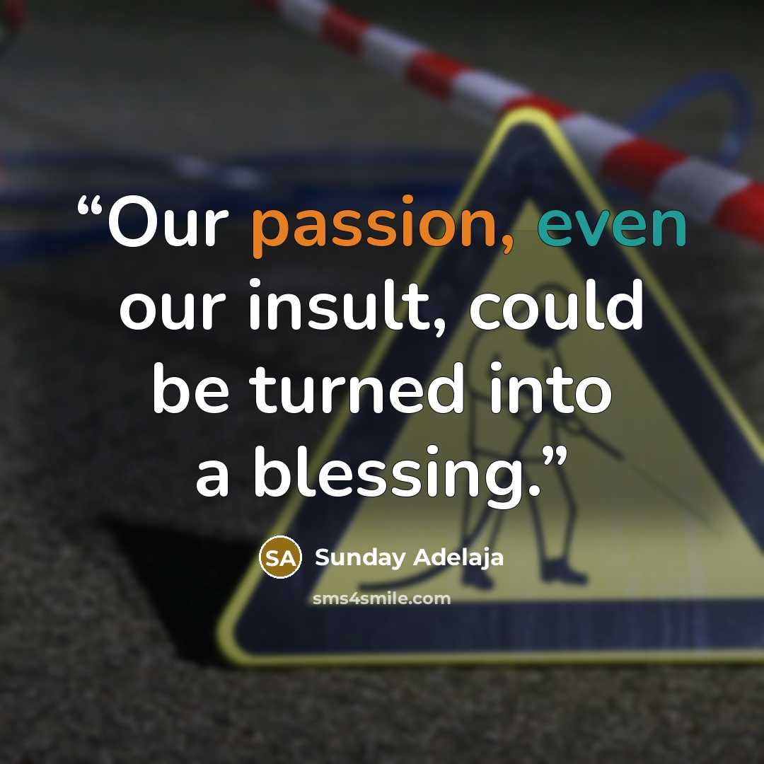 “Our passion, even our insult, could be turned into a blessing.” quote by Sunday Adelaja