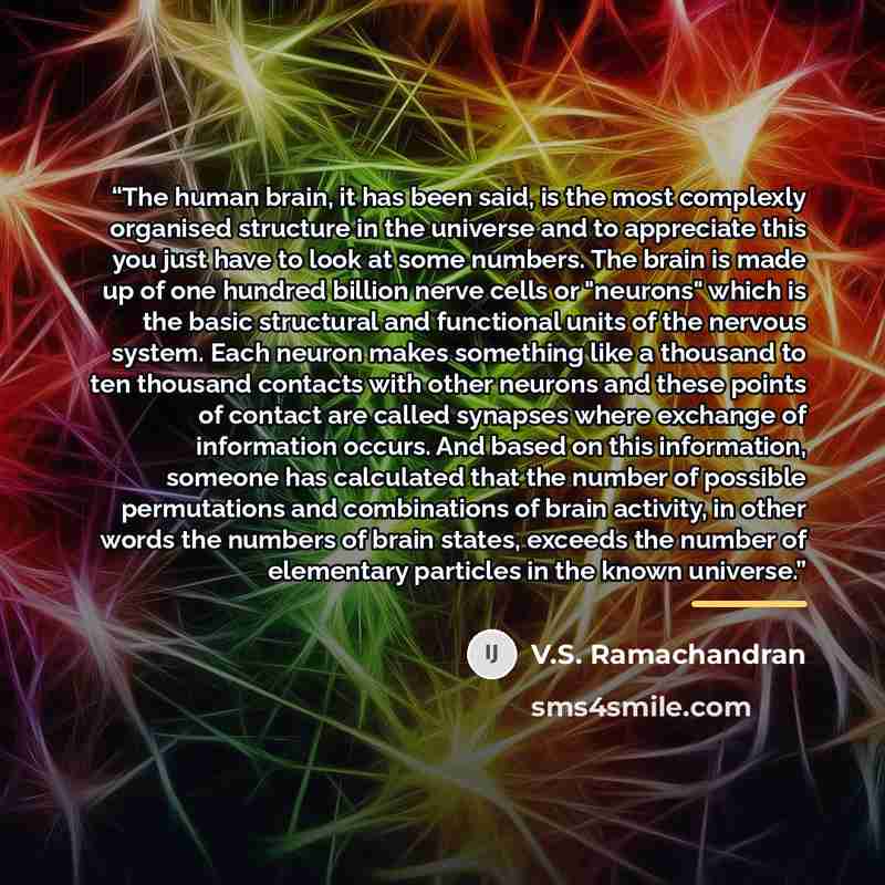 “The human brain, it has been said, is the most complexly organised structure in the universe and to appreciate this you just have to look at some numbers. The brain is made up of one hundred billion nerve cells or "neurons" which is the basic structural and functional units of the nervous system…” quote by V.S. Ramachandran