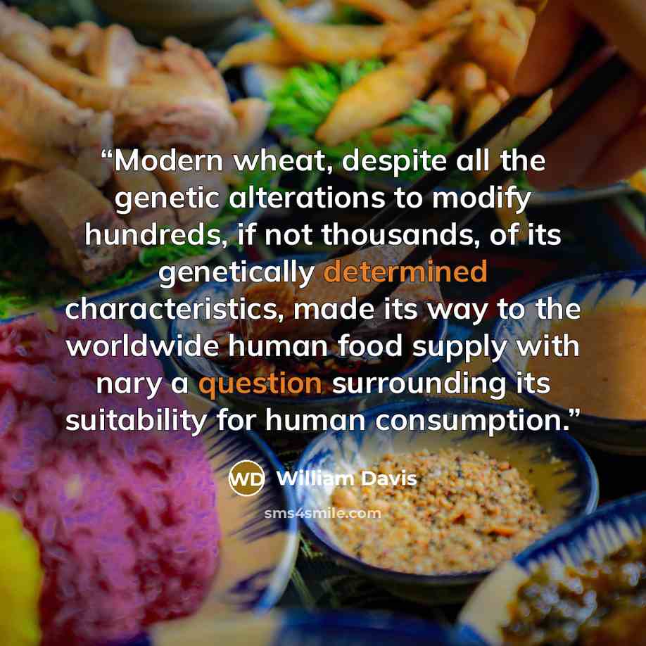 “Modern wheat, despite all the genetic alterations to modify hundreds, if not thousands, of its genetically determined characteristics, made its way to the worldwide human food supply with nary a question surrounding its suitability for human consumption.” quote by William Davis