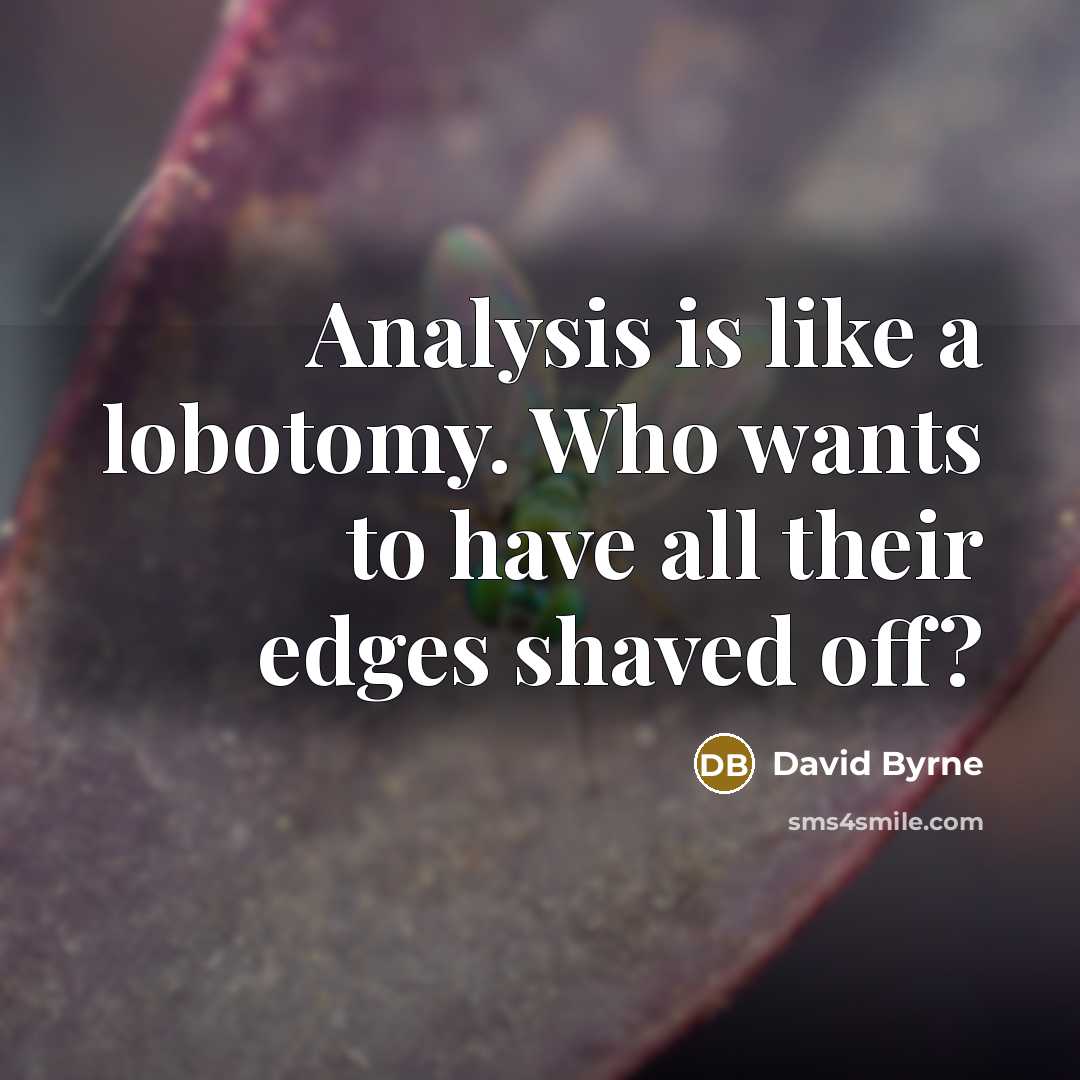 “Analysis is like a lobotomy. Who wants to have all their edges shaved off?” quote by David Byrne
