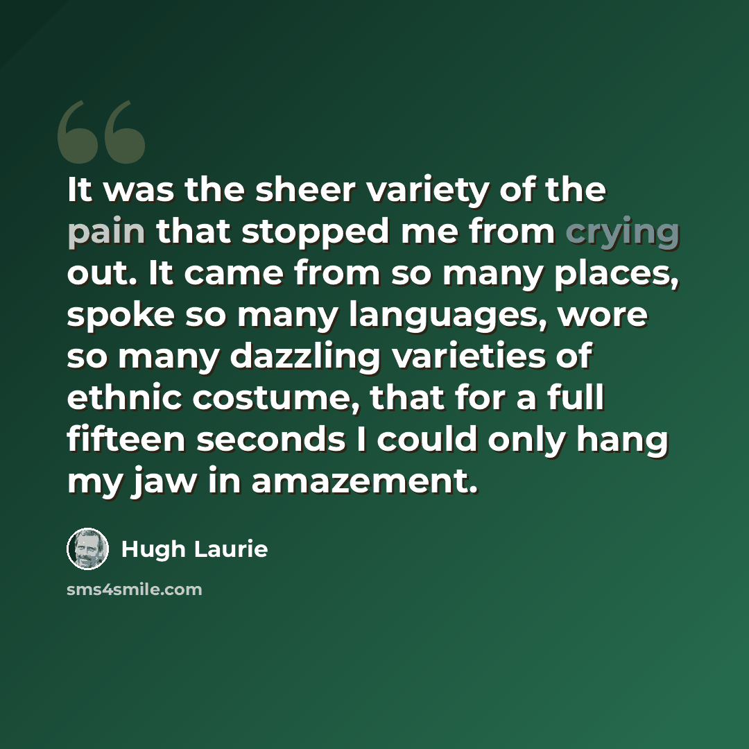 “It was the sheer variety of the pain that stopped me from crying out. It came from so many places, spoke so many languages, wore so many dazzling varieties of ethnic costume, that for a full fifteen seconds I could only hang my jaw in amazement.” quote by Hugh Laurie