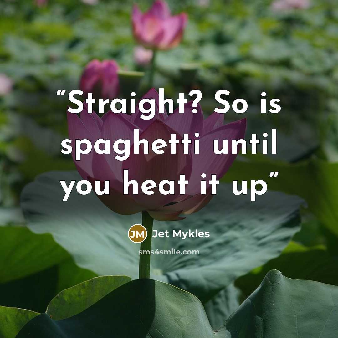 “Straight? So is spaghetti until you heat it up” quote by Jet Mykles