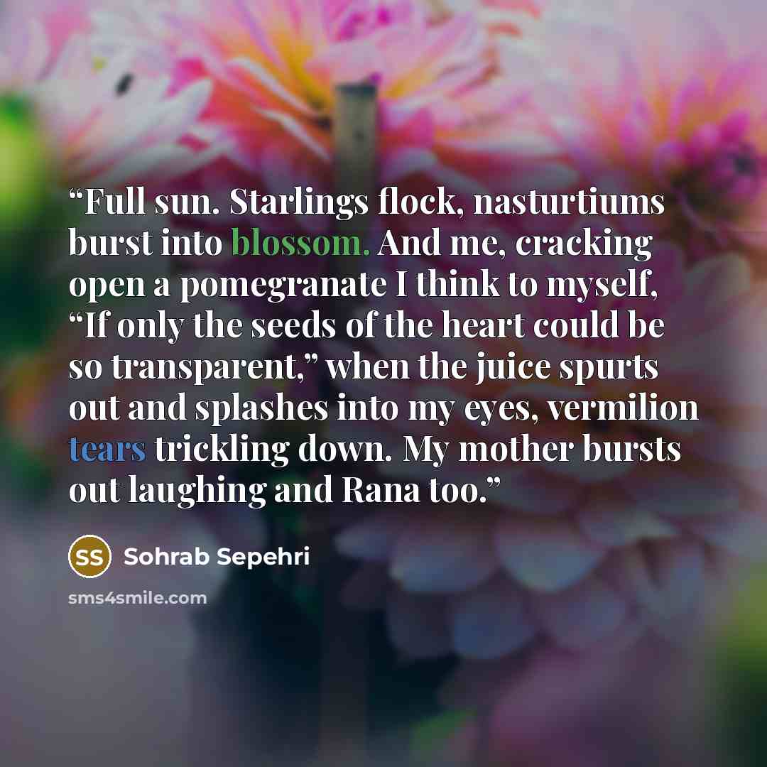 “Full sun. Starlings flock, nasturtiums burst into blossom. And me, cracking open a pomegranate I think to myself, “If only the seeds of the heart could be so transparent,” when the juice spurts out and splashes into my eyes, vermilion tears trickling down. My mother bursts out laughing and Rana too.” quote by Sohrab Sepehri