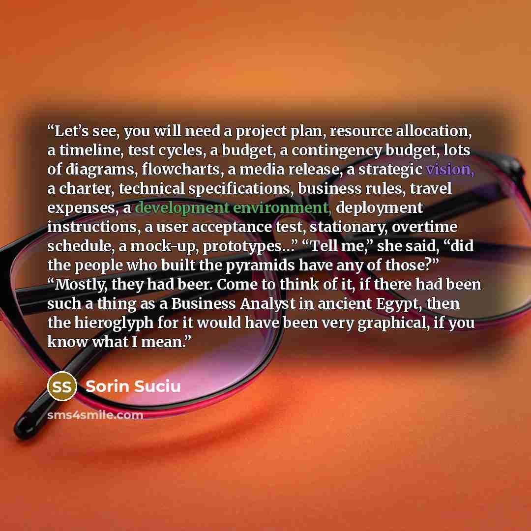 “Let’s see, you will need a project plan, resource allocation, a timeline, test cycles, a budget, a contingency budget, lots of diagrams, flowcharts, a media release, a strategic vision, a charter, technical specifications, business rules, travel expenses, a development environment, deployment…” quote by Sorin Suciu