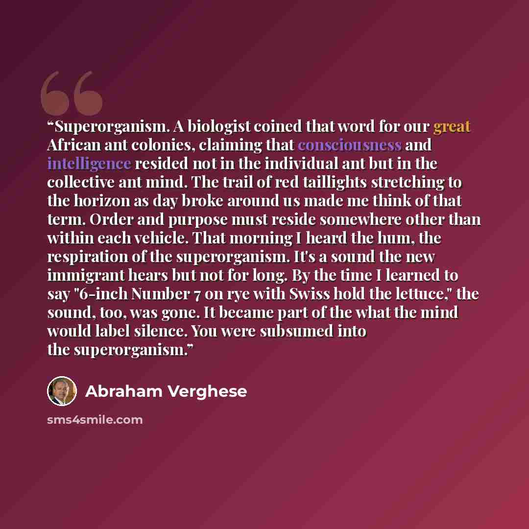 “Superorganism. A biologist coined that word for our great African ant colonies, claiming that consciousness and intelligence resided not in the individual ant but in the collective ant mind. The trail of red taillights stretching to the horizon as day broke around us made me think of that term…” quote by Abraham Verghese