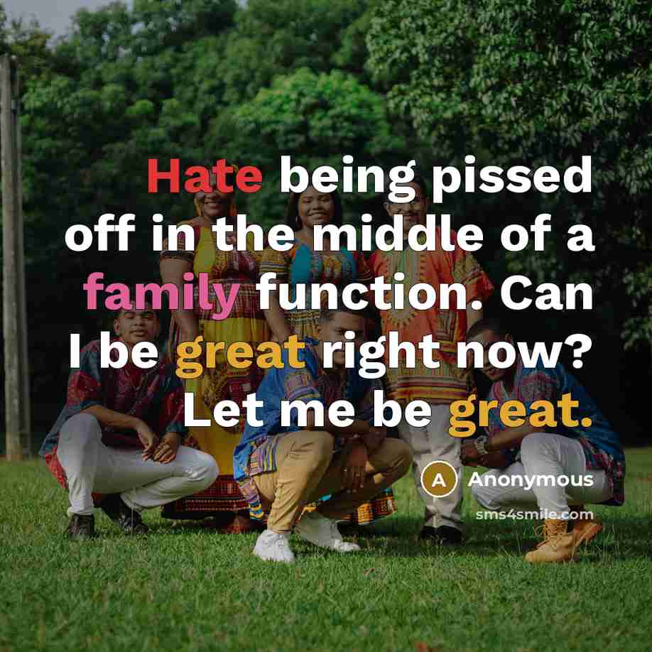 “Hate being pissed off in the middle of a family function. Can I be great right now? Let me be great.” quote by Anonymous
