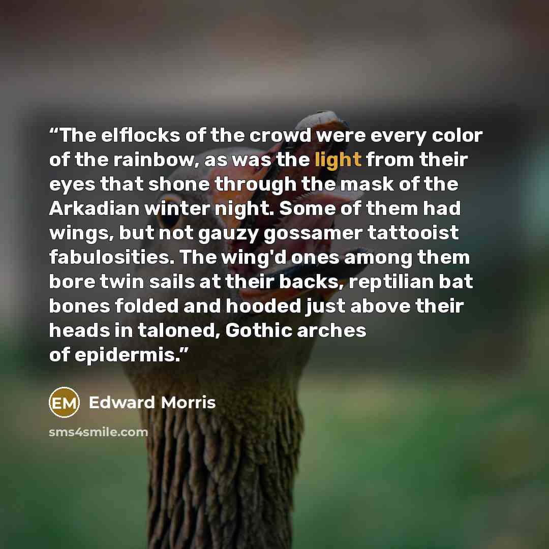 “The elflocks of the crowd were every color of the rainbow, as was the light from their eyes that shone through the mask of the Arkadian winter night. Some of them had wings, but not gauzy gossamer tattooist fabulosities. The wing'd ones among them bore twin sails at their backs, reptilian bat…” quote by Edward Morris