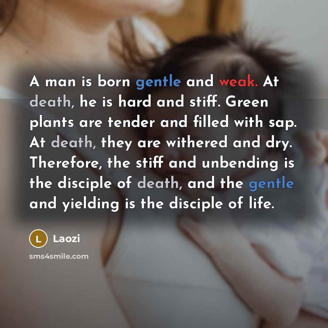 “A man is born gentle and weak. At death, he is hard and stiff. Green plants are tender and filled with sap. At death, they are withered and dry. Therefore, the stiff and unbending is the disciple of death, and the gentle and yielding is the disciple of life.” quote by Laozi