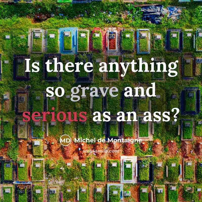 “Is there anything so grave and serious as an ass?” quote by Michel de Montaigne