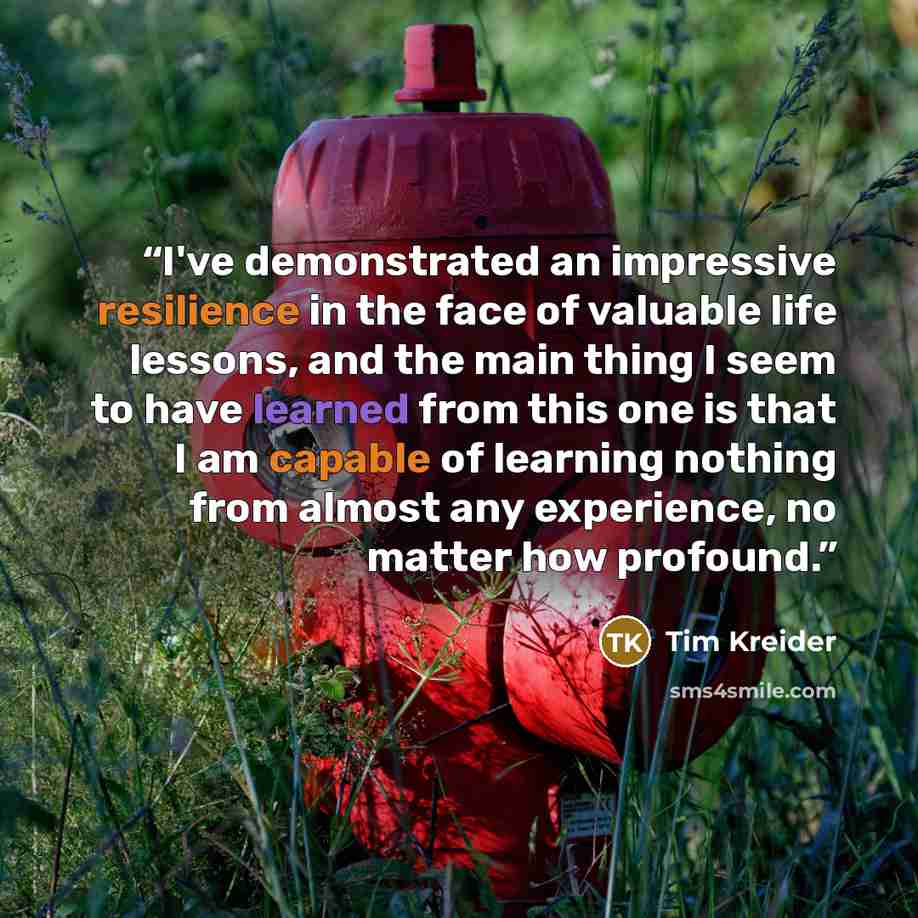 “I've demonstrated an impressive resilience in the face of valuable life lessons, and the main thing I seem to have learned from this one is that I am capable of learning nothing from almost any experience, no matter how profound.” quote by Tim Kreider