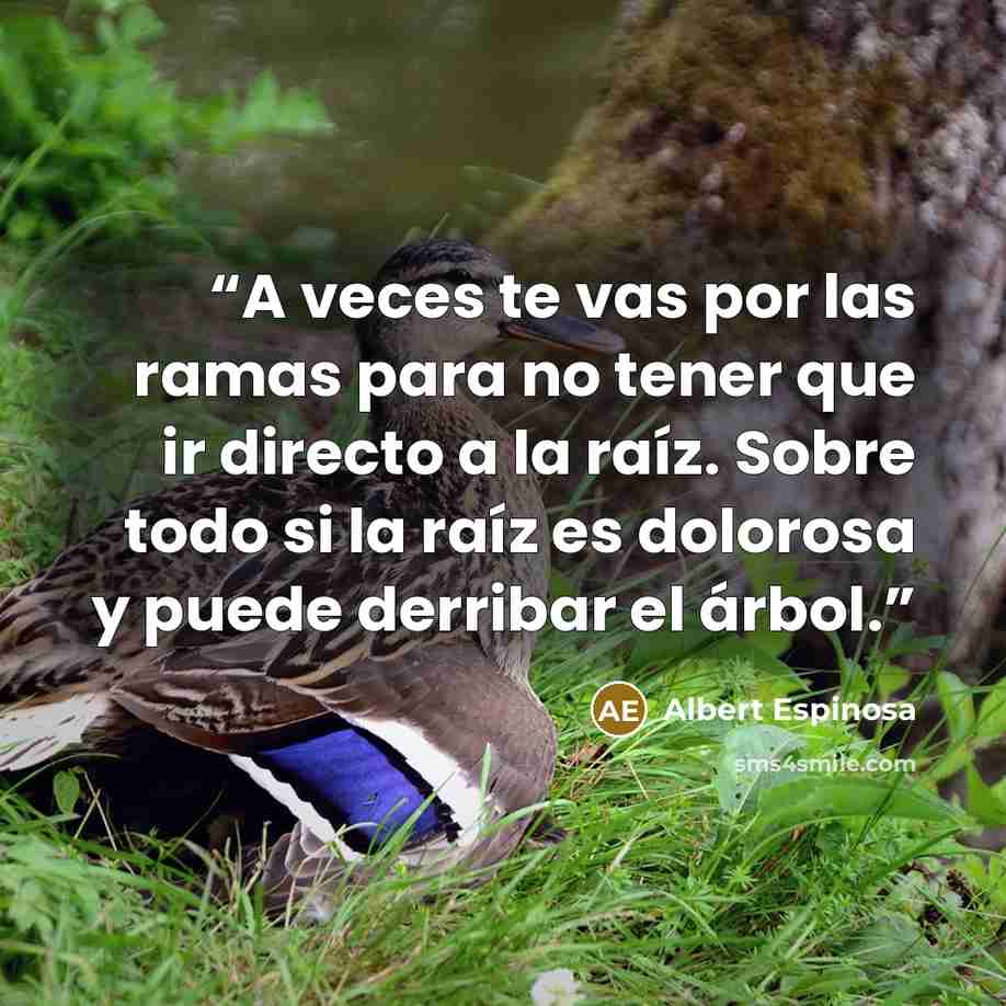 “A veces te vas por las ramas para no tener que ir directo a la raíz. Sobre todo si la raíz es dolorosa y puede derribar el árbol.” quote by Albert Espinosa