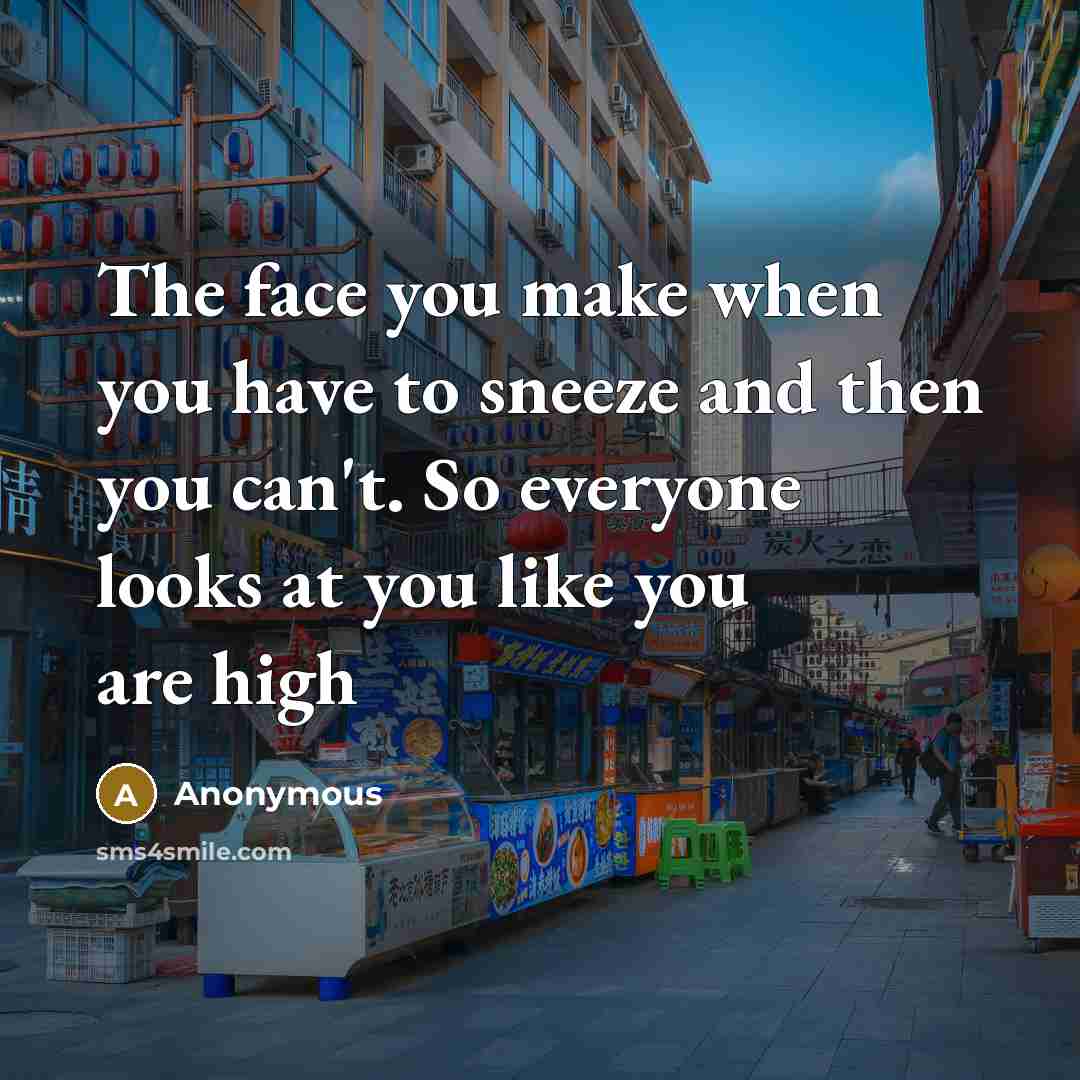 “The face you make when you have to sneeze and then you can't. So everyone looks at you like you are high” quote by Anonymous