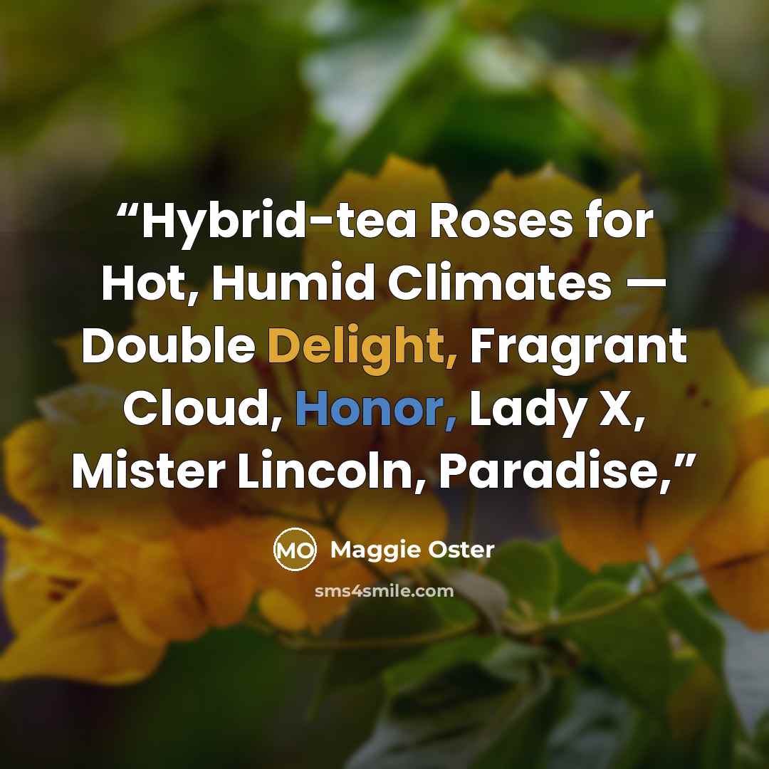 “Hybrid-tea Roses for Hot, Humid Climates — Double Delight, Fragrant Cloud, Honor, Lady X, Mister Lincoln, Paradise,” quote by Maggie Oster