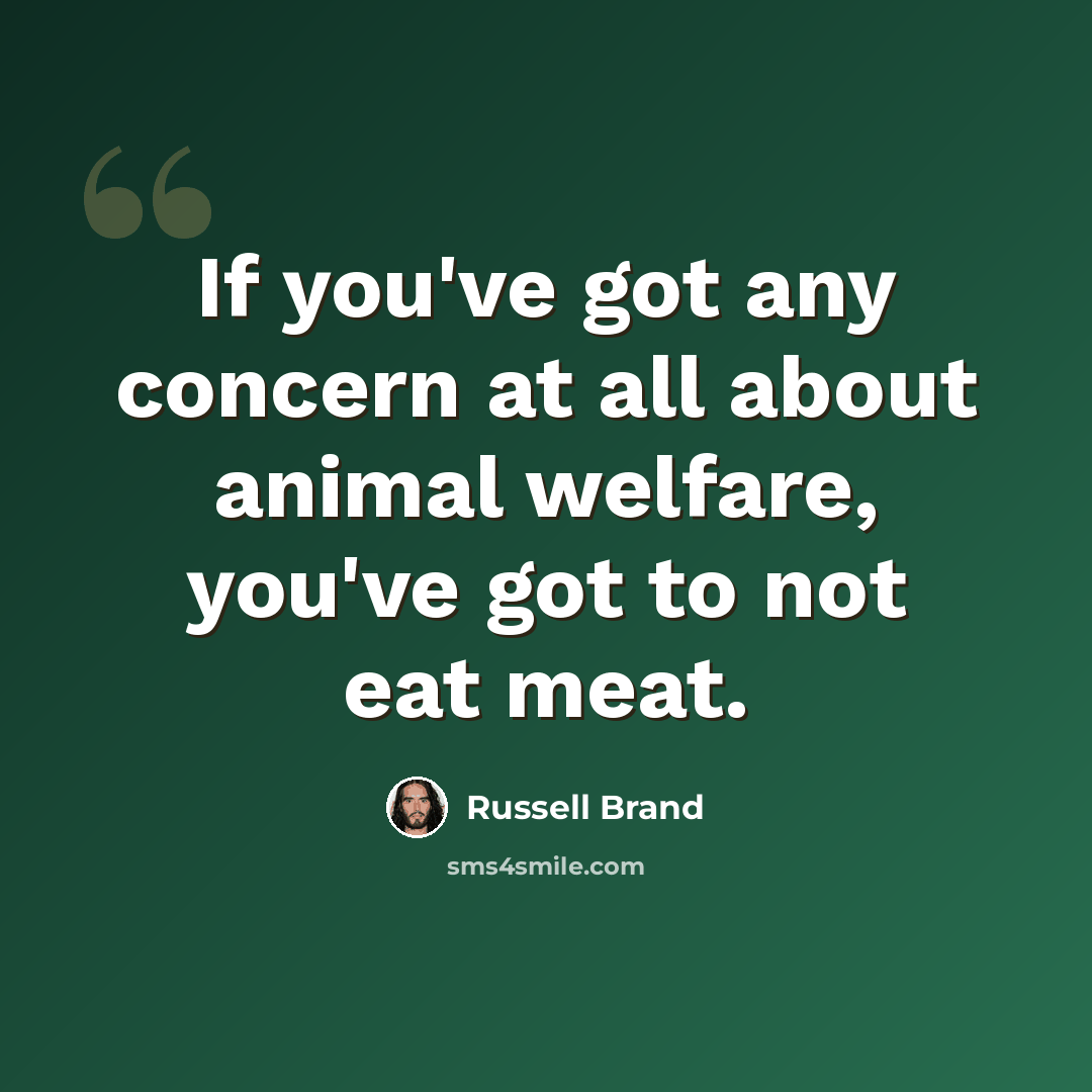 “If you've got any concern at all about animal welfare, you've got to not eat meat.” quote by Russell Brand