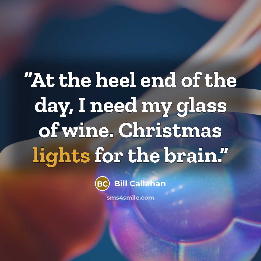 “At the heel end of the day, I need my glass of wine. Christmas lights for the brain.” quote by Bill Callahan