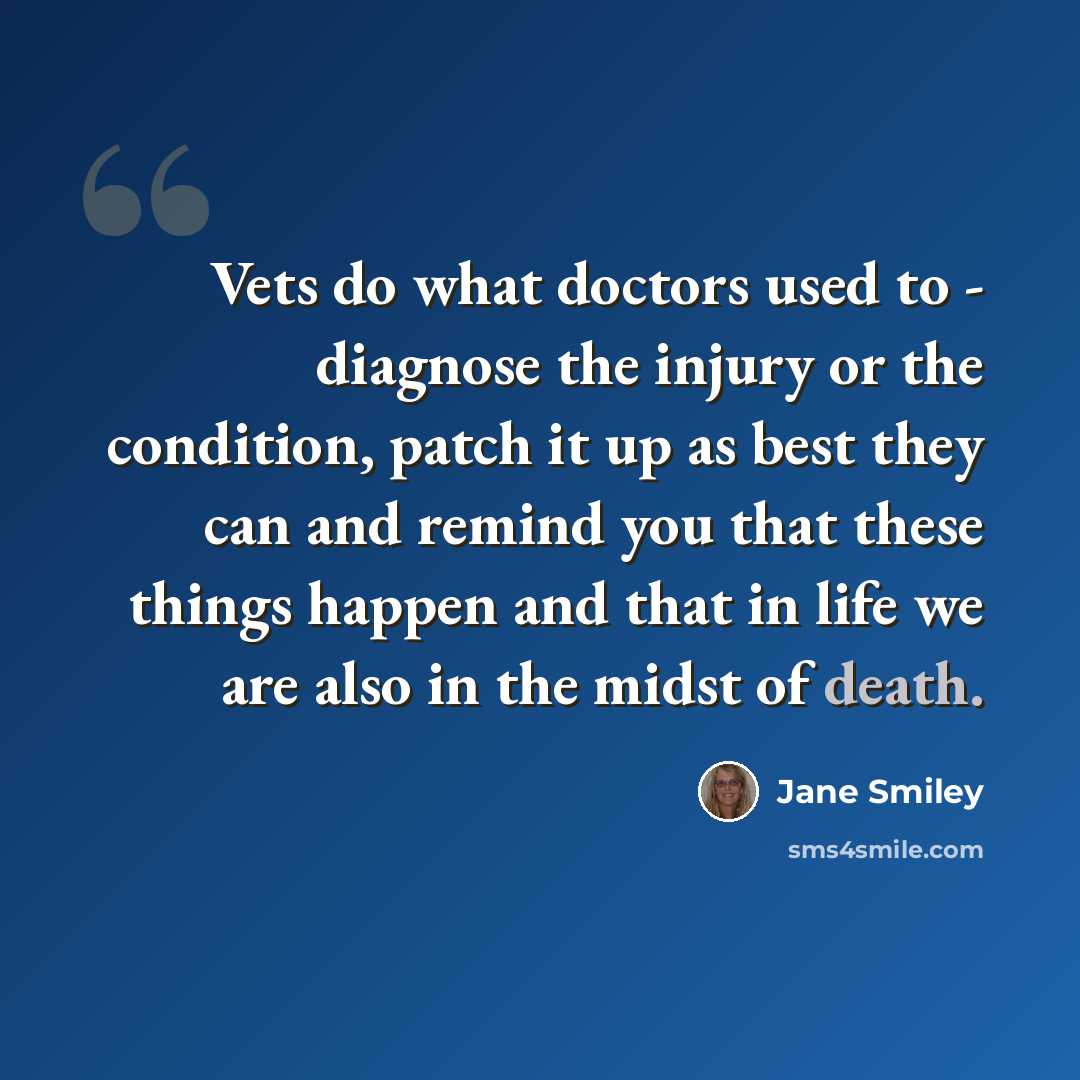 “Vets do what doctors used to - diagnose the injury or the condition, patch it up as best they can and remind you that these things happen and that in life we are also in the midst of death.” quote by Jane Smiley