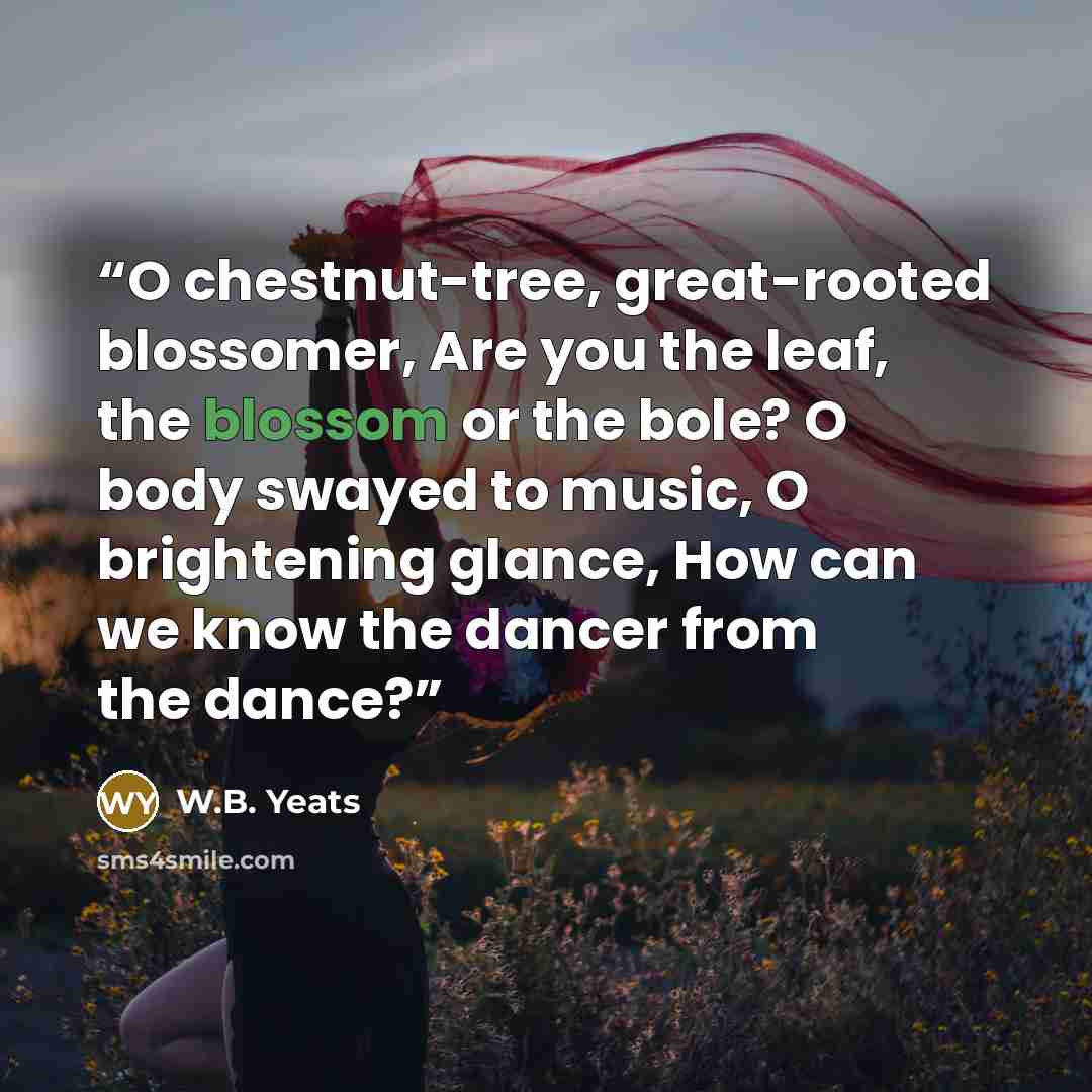 “O chestnut-tree, great-rooted blossomer, Are you the leaf, the blossom or the bole? O body swayed to music, O brightening glance, How can we know the dancer from the dance?” quote by W.B. Yeats