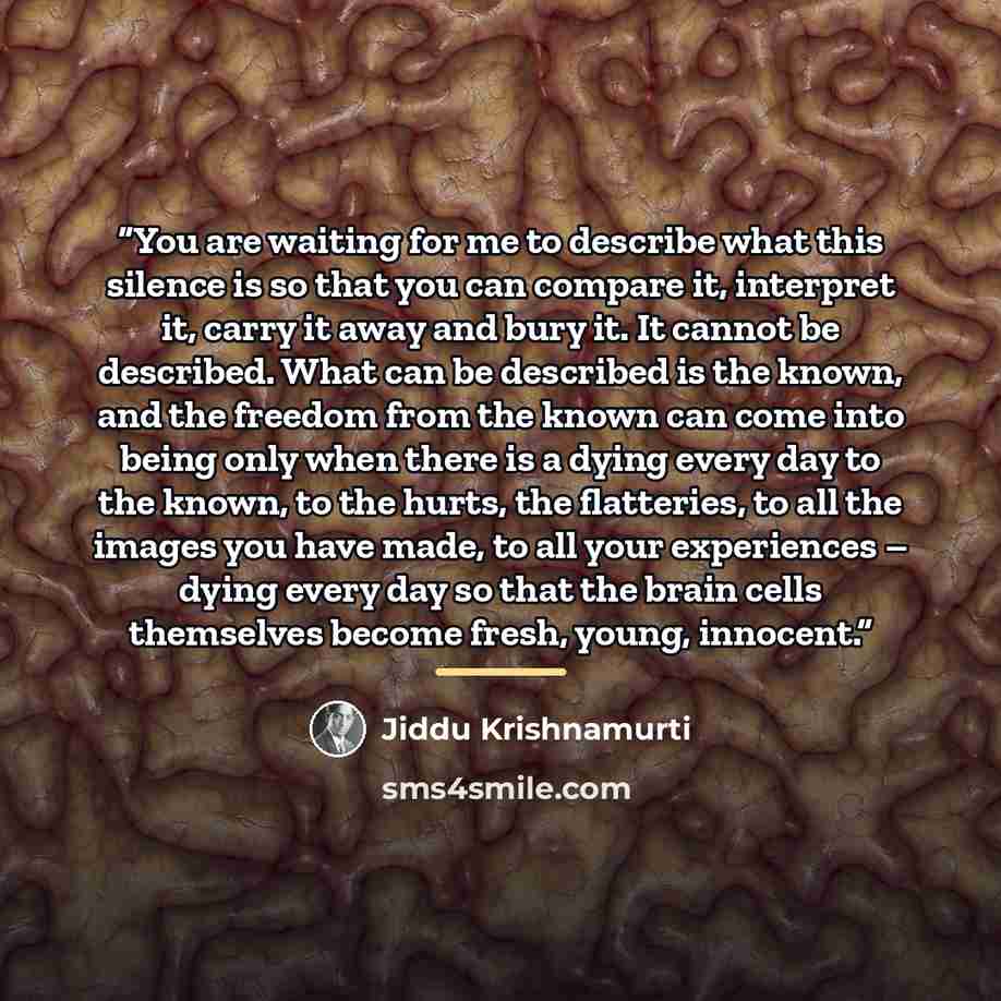 “You are waiting for me to describe what this silence is so that you can compare it, interpret it, carry it away and bury it. It cannot be described. What can be described is the known, and the freedom from the known can come into being only when there is a dying every day to the known, to the…” quote by Jiddu Krishnamurti