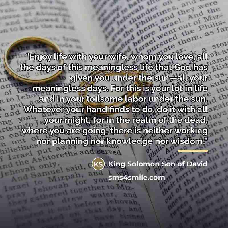 “Enjoy life with your wife, whom you love, all the days of this meaningless life that God has given you under the sun—all your meaningless days. For this is your lot in life and in your toilsome labor under the sun. Whatever your hand finds to do, do it with all your might, for in the realm of the…” quote by King Solomon Son of David